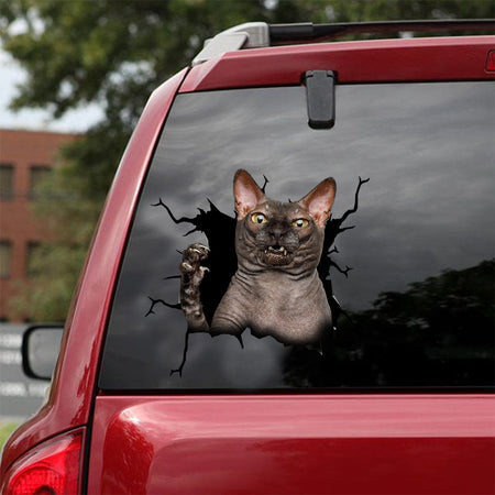 [dt0383-snf-tnt]-sphynx-cat-crack-car-sticker-cats-lover