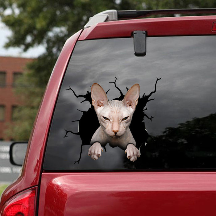 [dt0384-snf-tnt]-sphynx-cat-crack-car-sticker-cats-lover