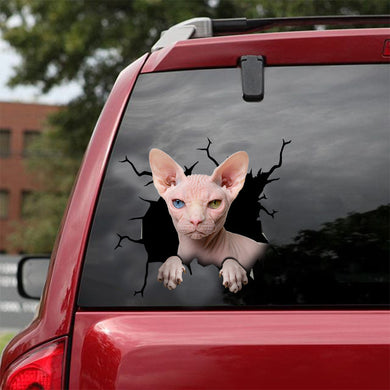 [dt0385-snf-tnt]-sphynx-cat-crack-car-sticker-cats-lover