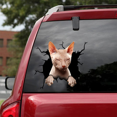 [dt0386-snf-tnt]-sphynx-cat-crack-car-sticker-cats-lover