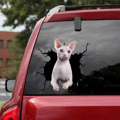 [dt0388-snf-tnt]-sphynx-cat-crack-car-sticker-cats-lover