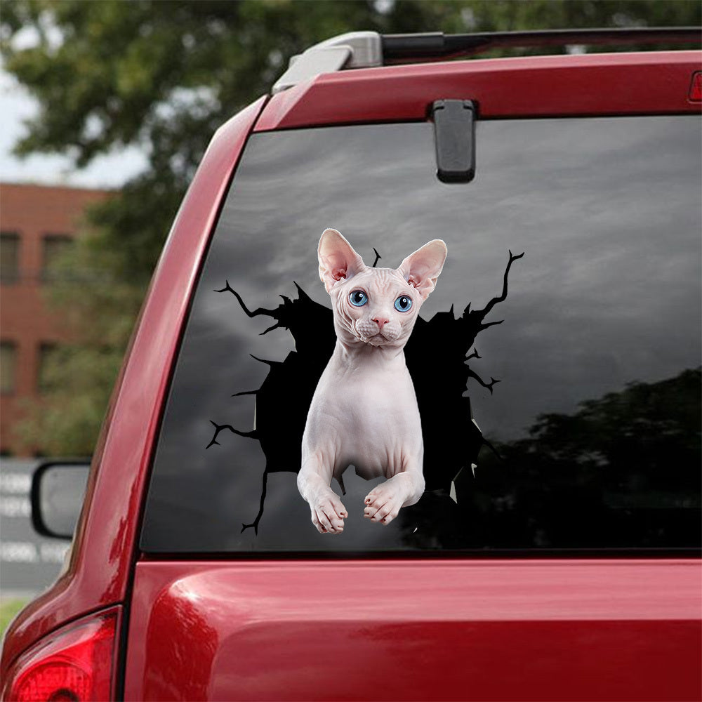 [dt0388-snf-tnt]-sphynx-cat-crack-car-sticker-cats-lover
