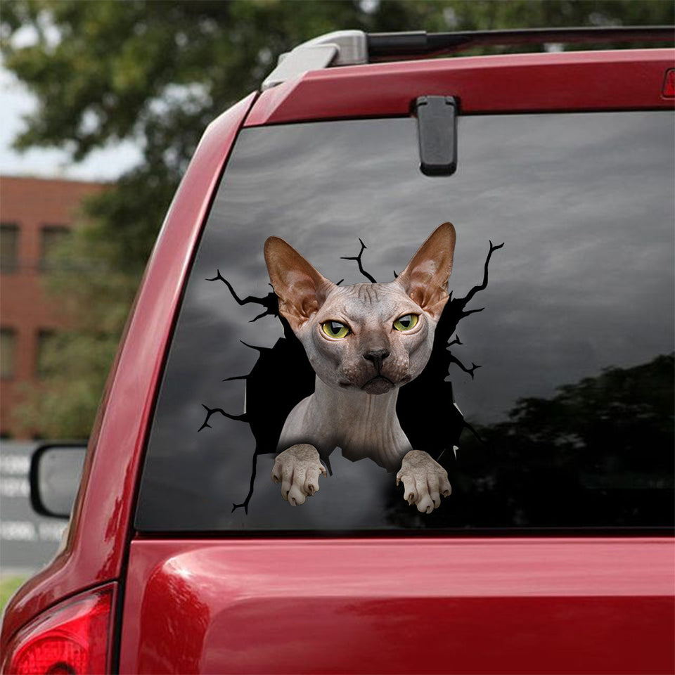 [dt0389-snf-tnt]-sphynx-cat-crack-car-sticker-cats-lover