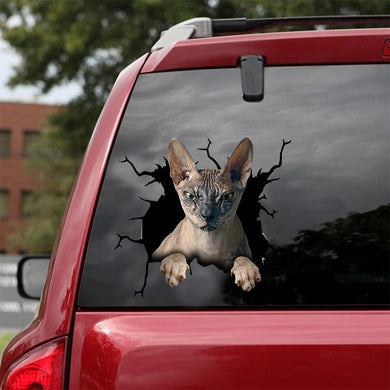 [dt0390-snf-tnt]-sphynx-cat-crack-car-sticker-cats-lover