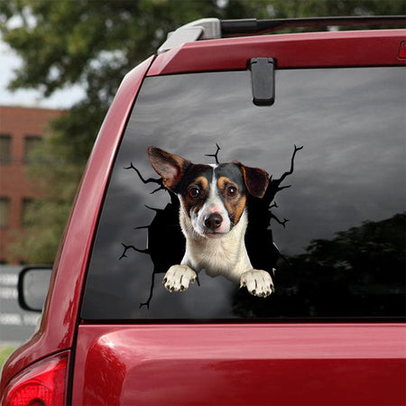 [dt0392-snf-tnt]-rat-terrier-crack-car-sticker-dogs-lover