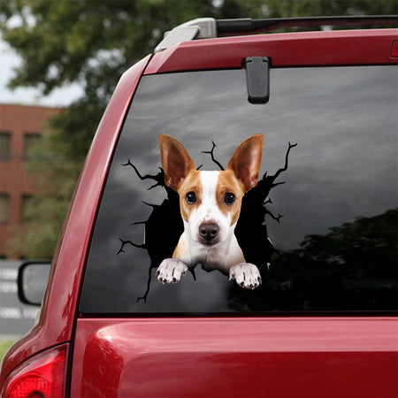 [dt0393-snf-tnt]-rat-terrier-crack-car-sticker-dogs-lover