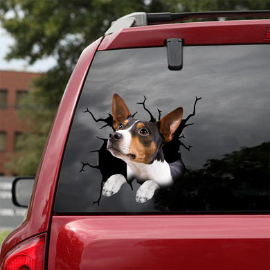 [dt0395-snf-tnt]-rat-terrier-crack-car-sticker-dogs-lover