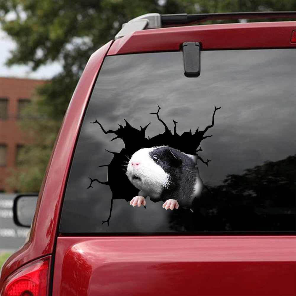 [dt0401-snf-tnt]-guinea-pig-crack-car-sticker-mice-lover