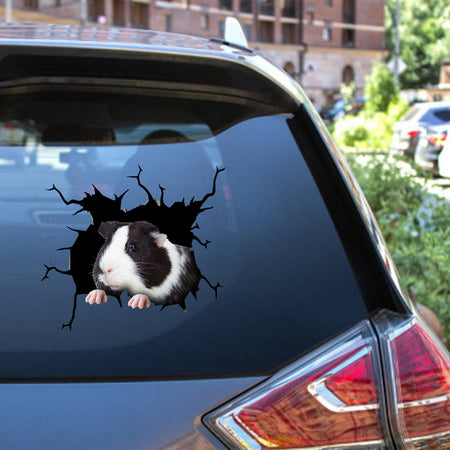 Guinea Pig Crack Decal Car Funny Jokes Car Decals 20th Anniversary Gift