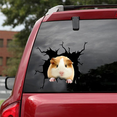 [dt0403-snf-tnt]-guinea-pig-crack-car-sticker-mice-lover