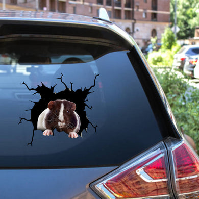 Guinea Pig Crack Sticker For Car Window Cute Custom Window Decals Housewarming Gifts