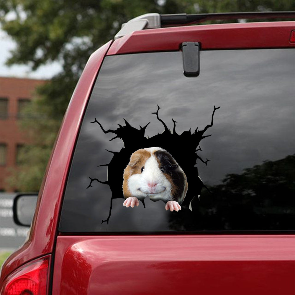 [dt0406-snf-tnt]-guinea-pig-crack-car-sticker-mice-lover