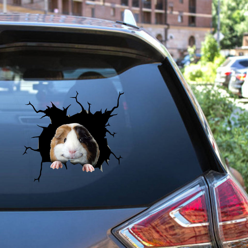 Guinea Pig Crack Sticker Decals Lovely Making Stickers With Decals Gifts For Boss