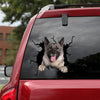[dt0412-snf-tnt]-norwegian-elkhound-crack-car-sticker-dogs-lover