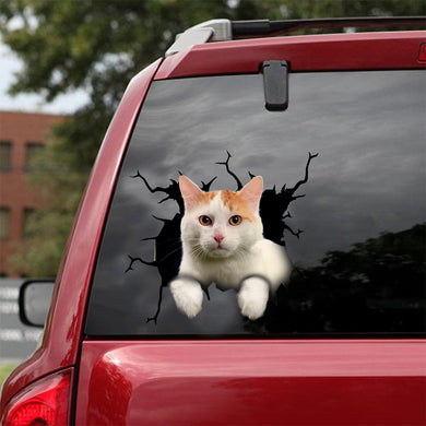 [dt0416-snf-tnt]-turkish-van-cat-crack-car-sticker-cats-lover