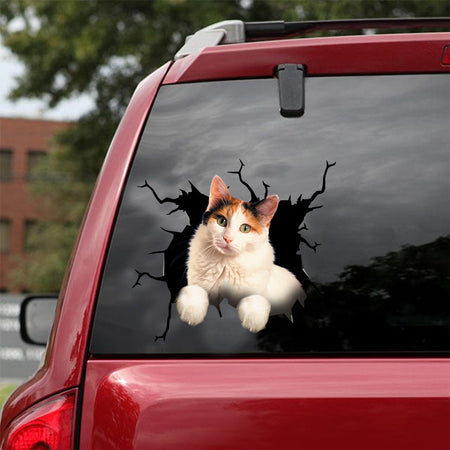 [dt0417-snf-tnt]-turkish-van-cat-crack-car-sticker-cats-lover