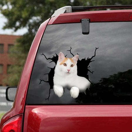 [dt0420-snf-tnt]-turkish-van-cat-crack-car-sticker-cats-lover