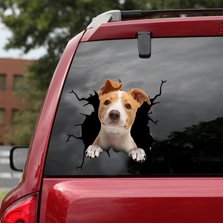 [dt0444-snf-tnt]-basenji-crack-car-sticker-dogs-lover
