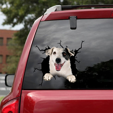 [dt0448-snf-tnt]-jack-russell-terrier-crack-car-sticker-dogs-lover