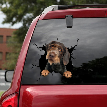 [dt0458-snf-tnt]-german-wirehaired-pointer-crack-car-sticker-dogs-lover