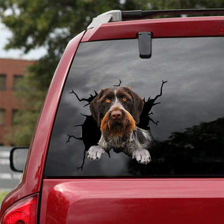 [dt0462-snf-tnt]-german-wirehaired-pointer-crack-car-sticker-dogs-lover