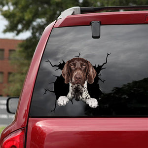 [dt0470-snf-tnt]-german-shorthaired-pointer-crack-car-sticker-dogs-lover
