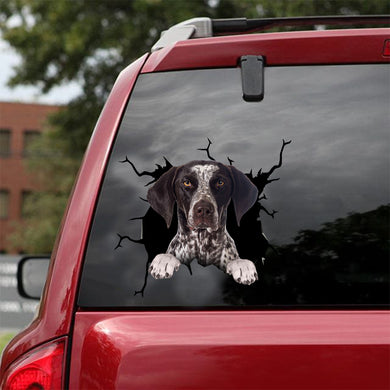 [dt0472-snf-tnt]-german-shorthaired-pointer-crack-car-sticker-dogs-lover