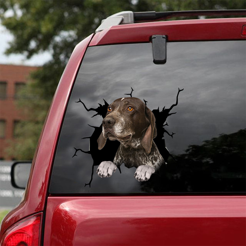 [dt0473-snf-tnt]-german-shorthaired-pointer-crack-car-sticker-dogs-lover