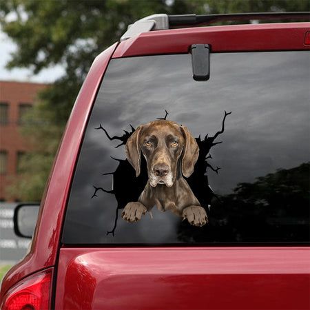 [dt0474-snf-tnt]-german-shorthaired-pointer-crack-car-sticker-dogs-lover