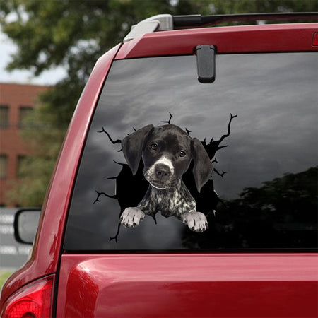 [dt0476-snf-tnt]-german-shorthaired-pointer-crack-car-sticker-dogs-lover