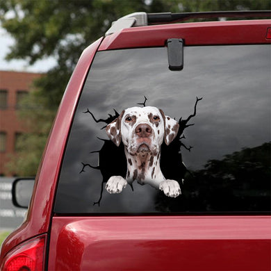 [dt0479-snf-tnt]-dalmatian-crack-car-sticker-dogs-lover