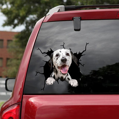 [dt0481-snf-tnt]-dalmatian-crack-car-sticker-dogs-lover