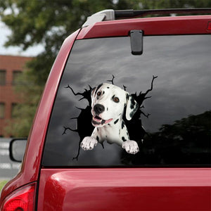 [dt0482-snf-tnt]-dalmatian-crack-car-sticker-dogs-lover