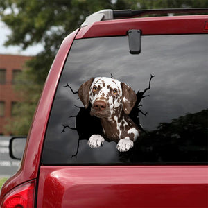 [dt0483-snf-tnt]-dalmatian-crack-car-sticker-dogs-lover