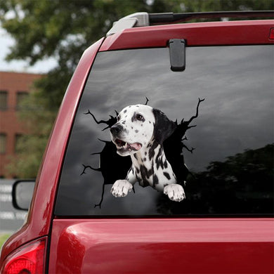 [dt0484-snf-tnt]-dalmatian-crack-car-sticker-dogs-lover