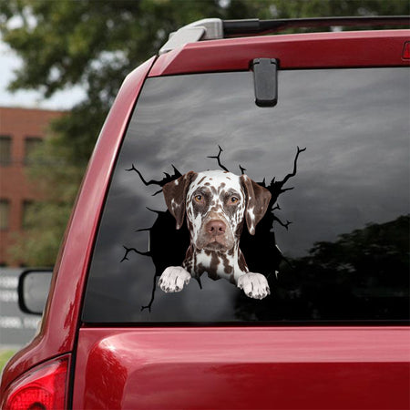 [dt0485-snf-tnt]-dalmatian-crack-car-sticker-dogs-lover