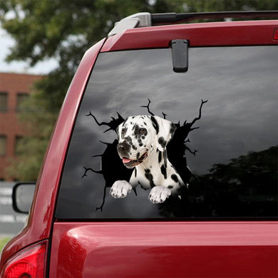 [dt0486-snf-tnt]-dalmatian-crack-car-sticker-dogs-lover