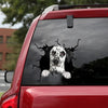 [dt0487-snf-tnt]-dalmatian-crack-car-sticker-dogs-lover