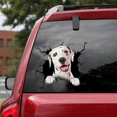 [dt0488-snf-tnt]-dalmatian-crack-car-sticker-dogs-lover