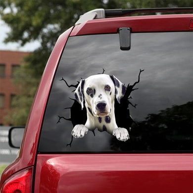 [dt0489-snf-tnt]-dalmatian-crack-car-sticker-dogs-lover