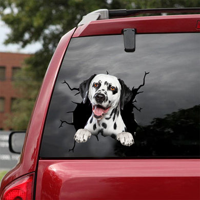 [dt0490-snf-tnt]-dalmatian-crack-car-sticker-dogs-lover