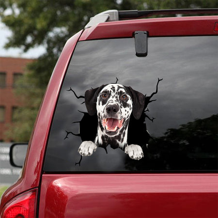 [dt0491-snf-tnt]-dalmatian-crack-car-sticker-dogs-lover