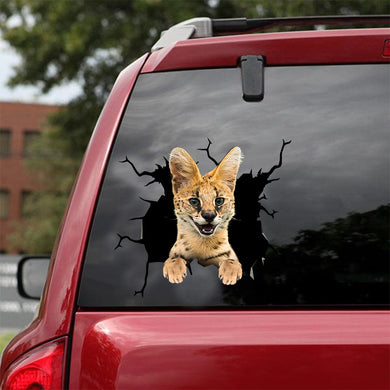 [dt0492-snf-tnt]-savannah-cat-crack-car-sticker-cats-lover