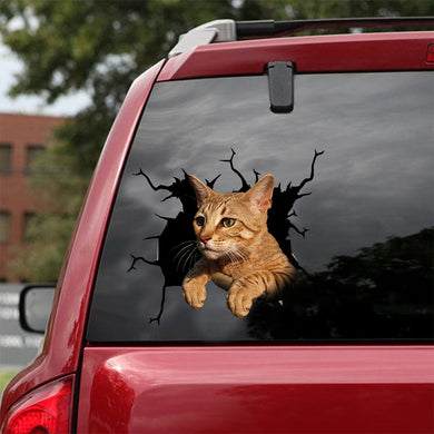[dt0494-snf-tnt]-savannah-cat-crack-car-sticker-cats-lover