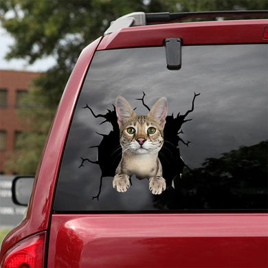 [dt0495-snf-tnt]-savannah-cat-crack-car-sticker-cats-lover