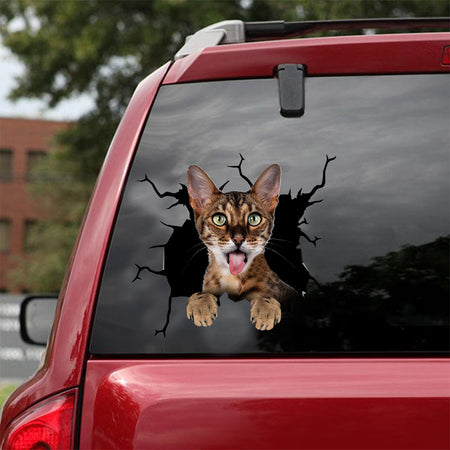 [dt0496-snf-tnt]-savannah-cat-crack-car-sticker-cats-lover