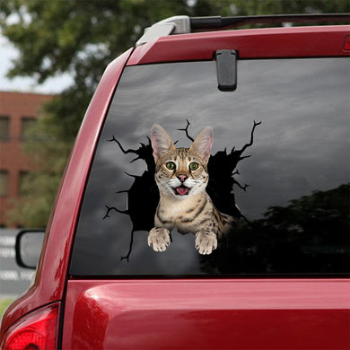 [dt0497-snf-tnt]-savannah-cat-crack-car-sticker-cats-lover