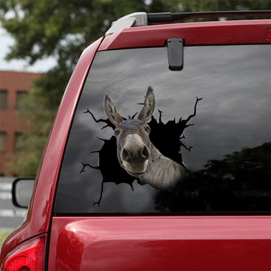 [dt0501-snf-tnt]-donkey-crack-car-sticker-donkeys-lover