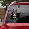 [dt0505-snf-tnt]-donkey-crack-car-sticker-donkeys-lover