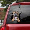 [dt0512-snf-tnt]-american-pitbull-terrier-crack-car-sticker-dogs-lover